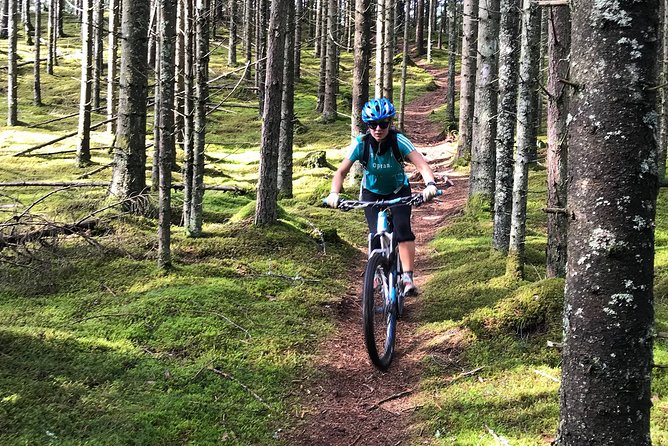 Mountain Bike - Voss Forest - Is $152.07 a fair price?