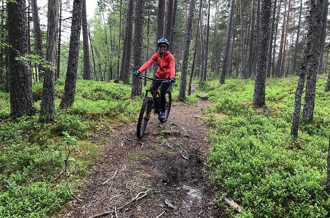 Mountain Bike - Voss Forest - Who should book this ride?