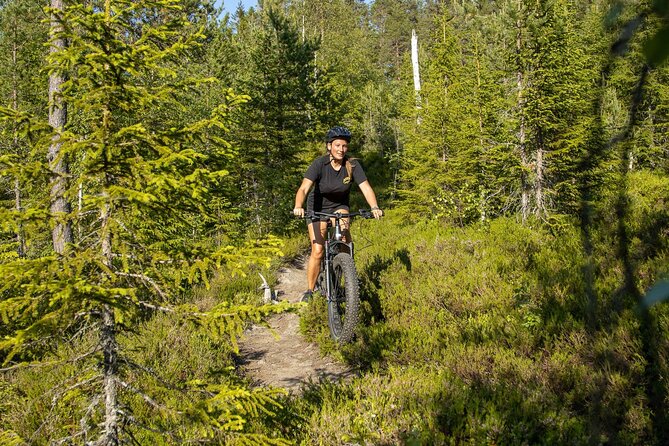 Mountain Bike - Voss Storålsen - Key points to know before you book