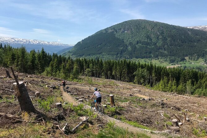 Mountain Bike - Voss Storålsen - A guide makes the difference