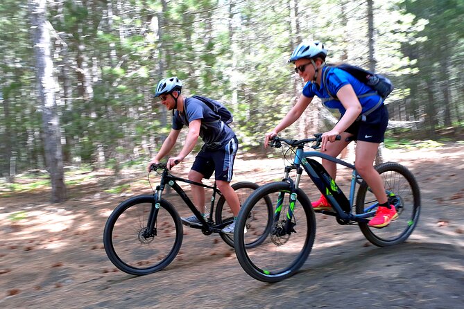 Mountain Biking Etna by MTB or E-Bike - Following the Pista Altomontana through lava country