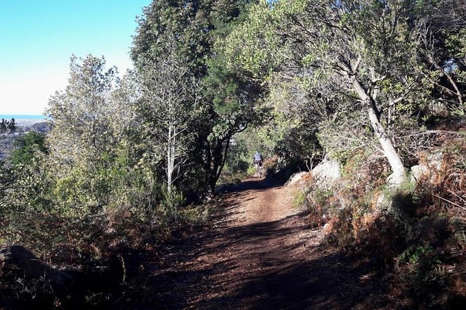 Mountain Biking Table Mountain to Constantia Morning Ride - How hard is the Table Mountain route?