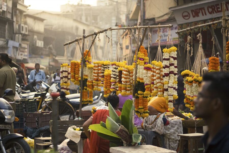 Mumbai: Early Morning Bicycle Tour - Key points to know before you book