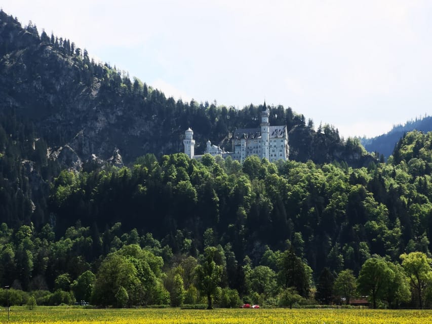 Munich: Neuschwanstein Castle by Bus with Alpine Bike Ride - Lunch with a castle view
