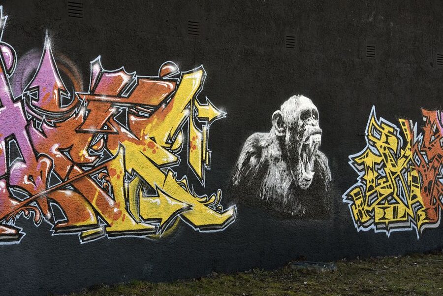 Munich: Street Art Bike Tour - Is $40 a fair price?