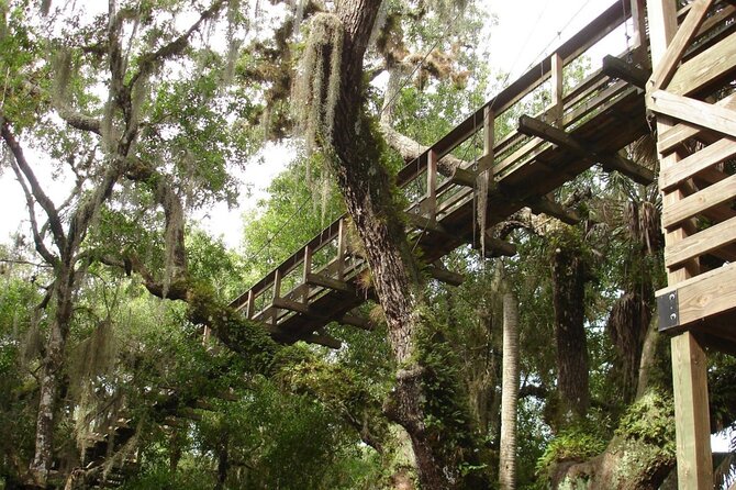 Myakka State Park E-bike Safari - How Much Is $85 Worth?