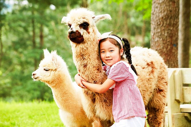 Nami+Alpaca+Garden of Morning Calm (+Rail Bike Option) - Nami Island: the day’s big-name attraction