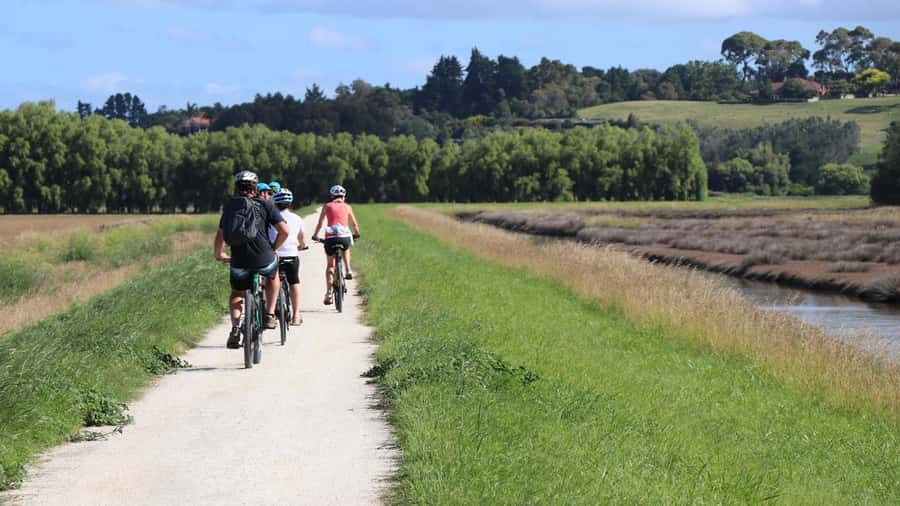 Napier: Art Deco Bike Ride and Wineries Loop - The Coastal Path Toward Cape Kidnappers