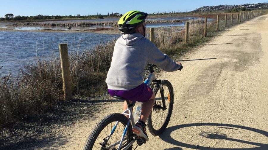 Napier: Art Deco Bike Ride and Wineries Loop - Bikes, Maps, and the Small Details That Matter