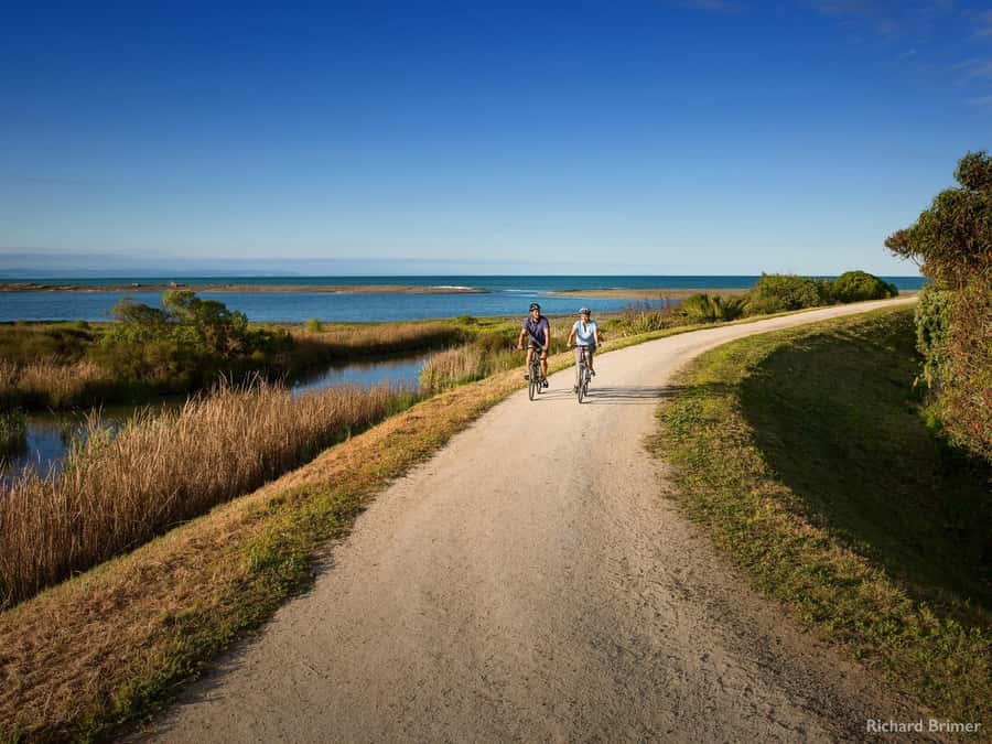 Napier: Cape Coast Winery Tour on E-Bikes - Key points before you book