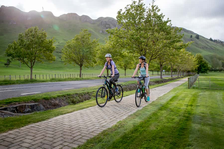 Napier: Cape Coast Winery Tour on E-Bikes - Clearview Estate and Elephant Hill: your first wine stops