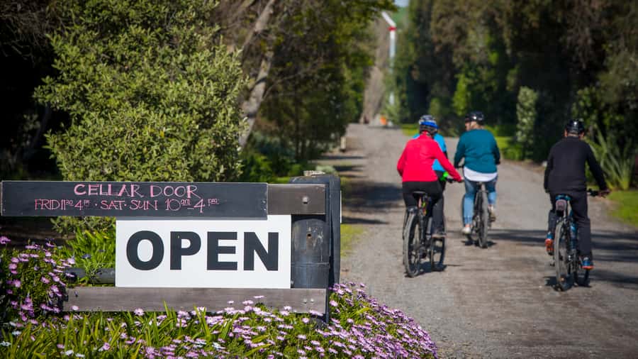 Napier: Cape Coast Winery Tour on E-Bikes - Te Mata Estate and Black Barn Winery