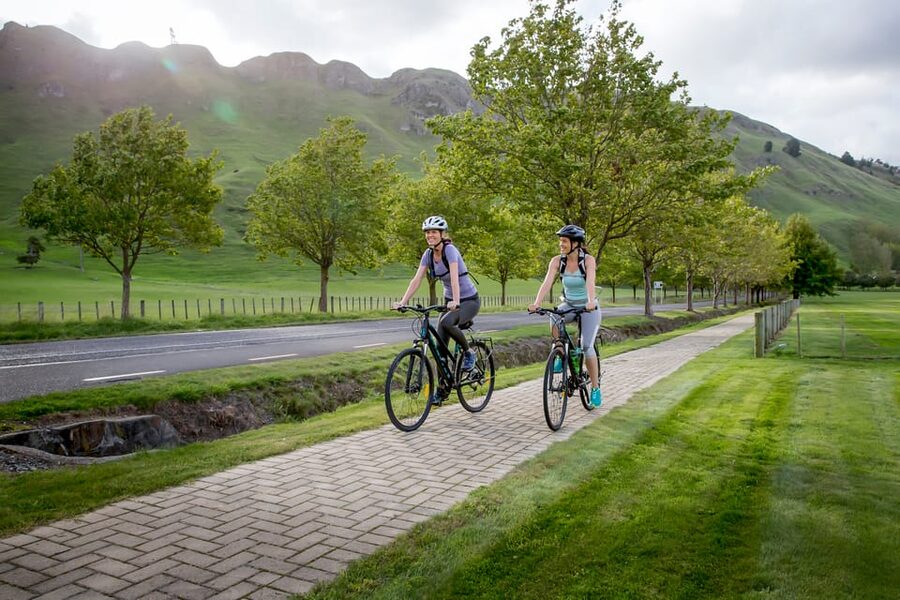 Napier: Cape Coast Winery Tour on E-Bikes - Who will enjoy this ride most?