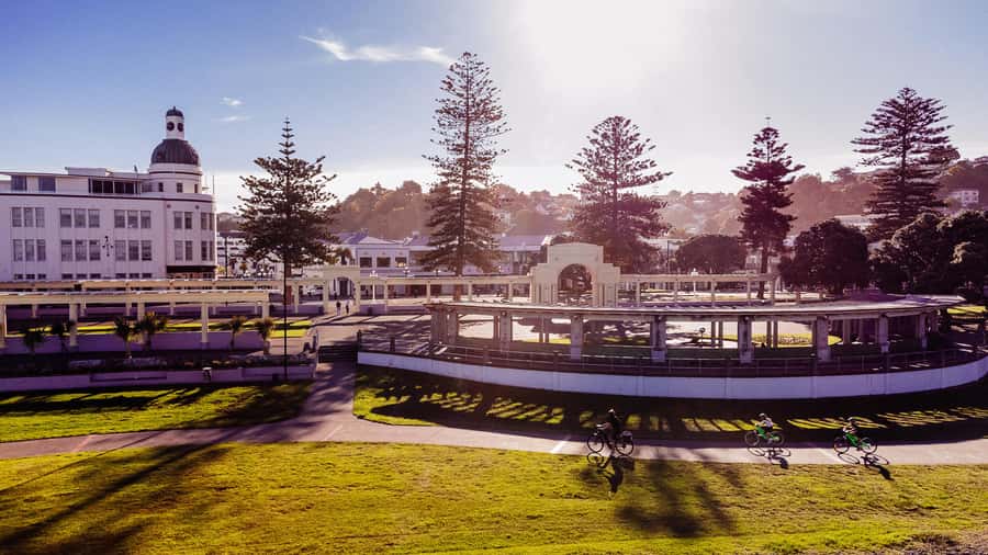 Napier: Cruise Self-Guided Cycle Ride to Winery - Half Day - What the wineries add to the ride