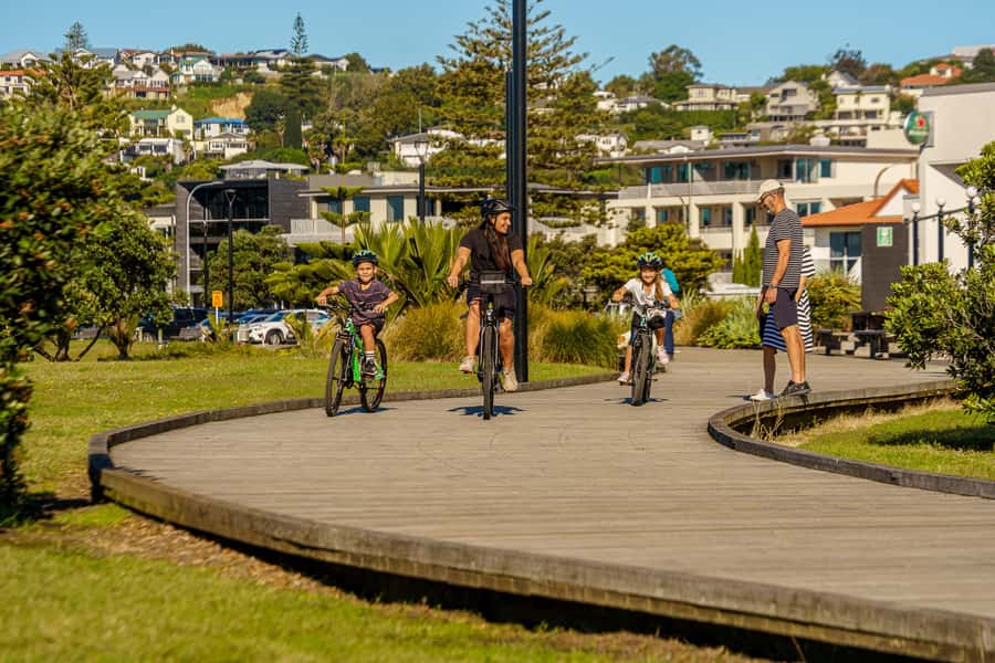 Napier: Cruise Self-Guided Cycle Ride to Winery - Half Day - Is $38 good value for a cruise-day outing?