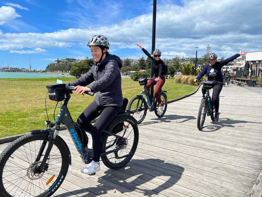 Napier: Cruise Self-Guided Cycle Ride to Winery - Half Day - The 40-kilometre loop through orchards and vineyards