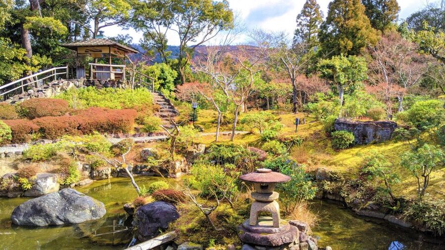 Nara: City Highlights Shared Group or Private Bike Tour - Finding the bike base near Toichi Shougakko