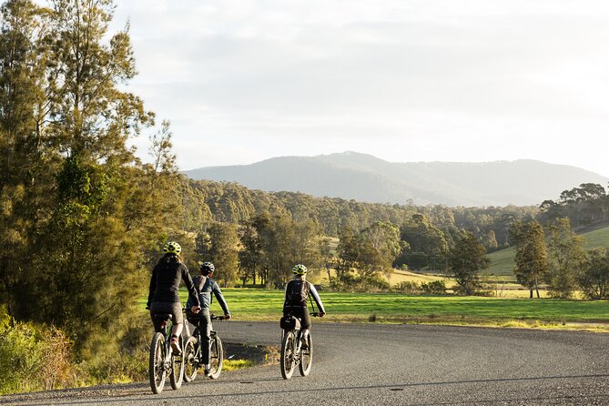 Narooma - E-Bike Hire 2 Hour Rental - Returning via Fosters Bay and Narooma