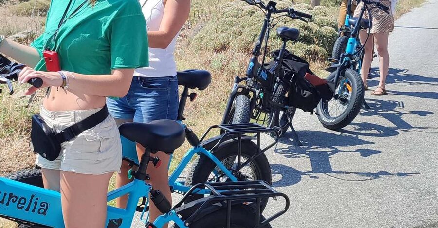 Naxos: Private E-Bike Tour with Farm Lunch - The stone mill and Naxian olive oil
