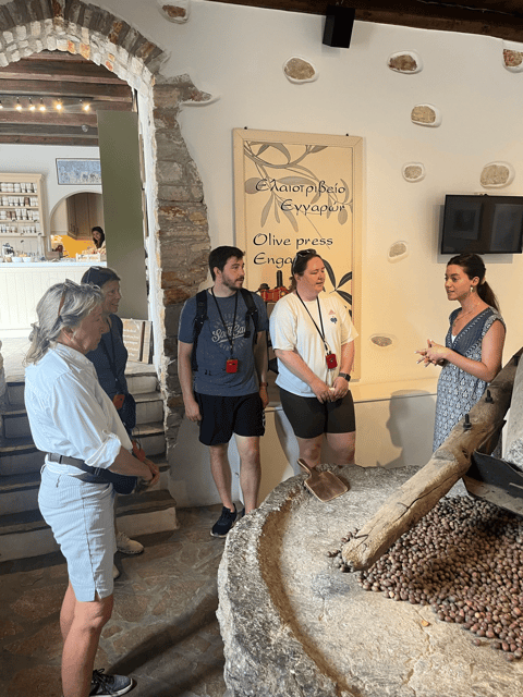 Naxos: Private E-Bike Tour with Farm Lunch - A working farm with sheep, goats, and cheese