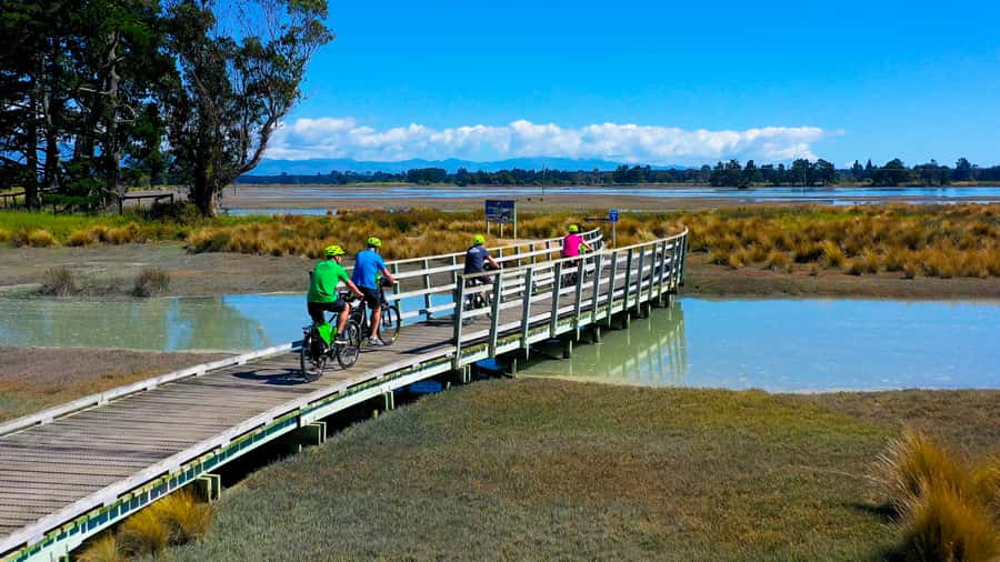Nelson to Mapua: Full-Day Cycling Self-Guided Adventure - Starting at Paru Paru Road in Nelson