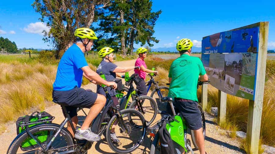Nelson to Mapua: Full-Day Cycling Self-Guided Adventure - The Waimea Estuary and Its Coastal Boardwalks