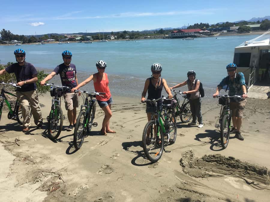 Nelson to Mapua: Full-Day Cycling Self-Guided Adventure - Crossing the Waimea Swing Bridge