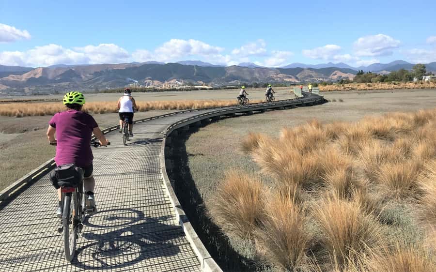 Nelson to Mapua: Full-Day Cycling Self-Guided Adventure - Rabbit Island: Swim or Take a Proper Rest