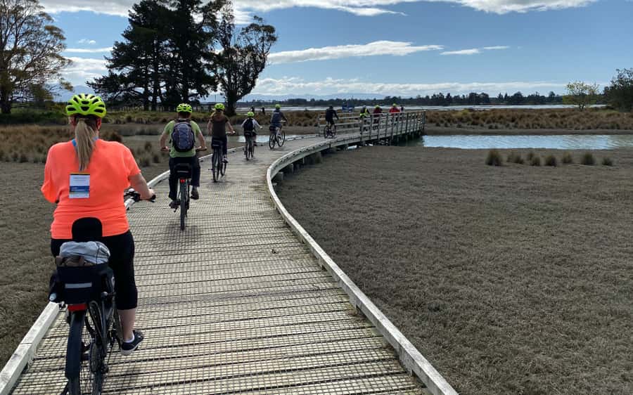 Nelson to Mapua: Full-Day Cycling Self-Guided Adventure - What the $77 Price Really Covers