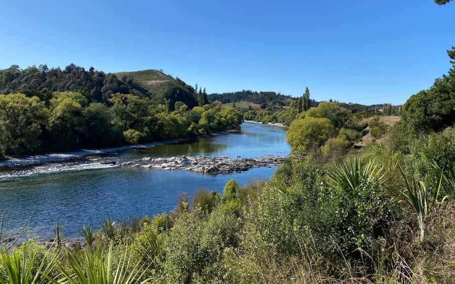 Nelson to Mapua: Full-Day Cycling Self-Guided Adventure - Who Will Enjoy This Ride Most