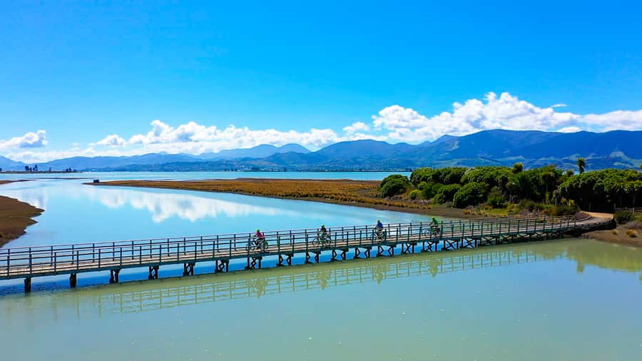 Nelson to Mapua: Full-Day Cycling Self-Guided Adventure - Classic Cars and the Honest Lawyer