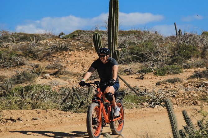 New Attraction: Guinness World Record Sky Bike in Los Cabos - Price, park fee, and overall value