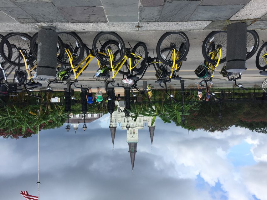 New Orleans: Buzz the Crescent Guided Bike Tour - Esplanade Avenue and its old live oaks
