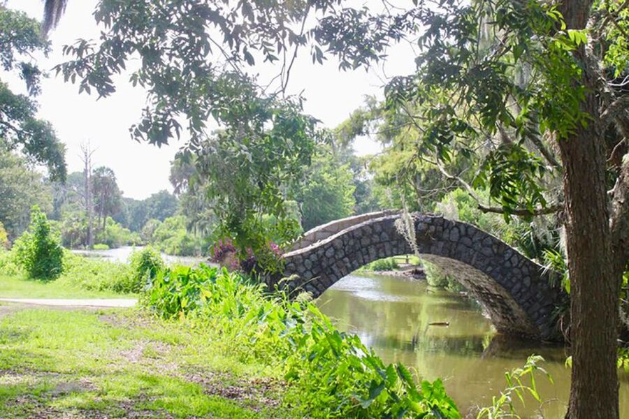 New Orleans: Scenic City Bike Tour - City Park and the bayou beyond the center