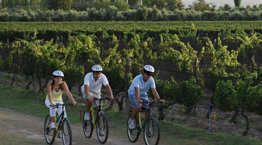 Niagara-on-the-Lake: Bicycle Tour with Wine Tasting - Why this Niagara wine tour works so well