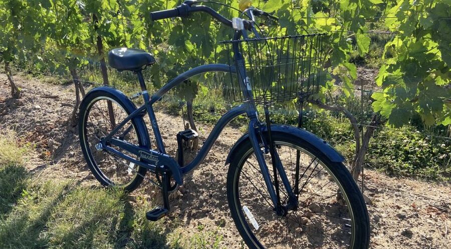 Niagara-on-the-Lake: Bicycle Tour with Wine Tasting - The second and third tastings
