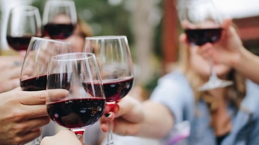 Niagara-on-the-Lake: Bicycle Tour with Wine Tasting - What the guides add to the day