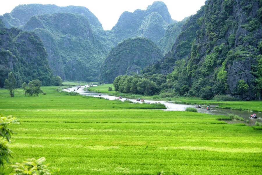 Ninh Binh Daily: Hoa Lu, Mua Cave, Tam Coc, Bike & Swimming - Tea, fruit, and the sunset pool stop