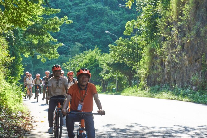 Ninh Binh Day Trip: Hoa Lu-Trang An/Tam Coc-Mua Cave-Cycling-Boat - Transport, group size, and the rhythm of the day