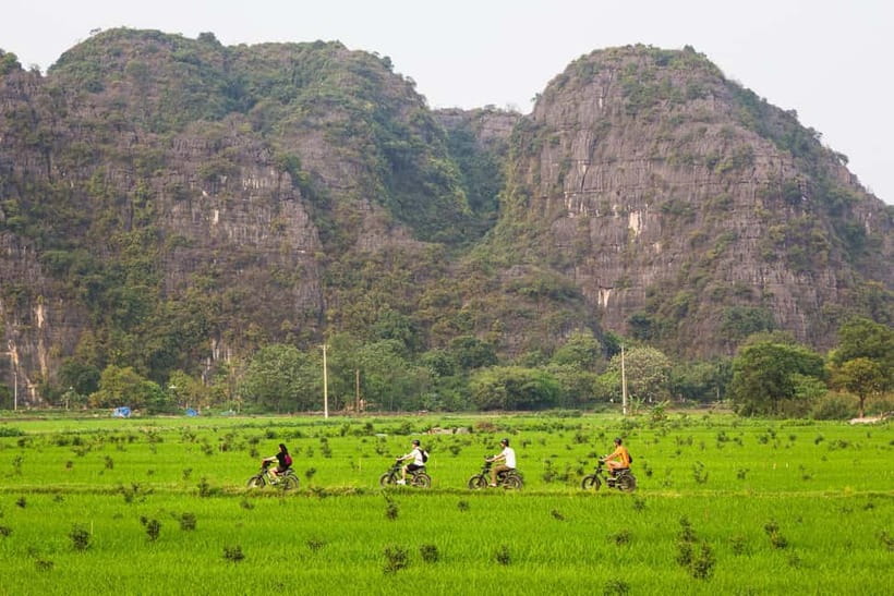 Ninh Binh E-Bike Tour - Tam Coc Secret Landscapes - Picking Vối tea beside Đền Vối
