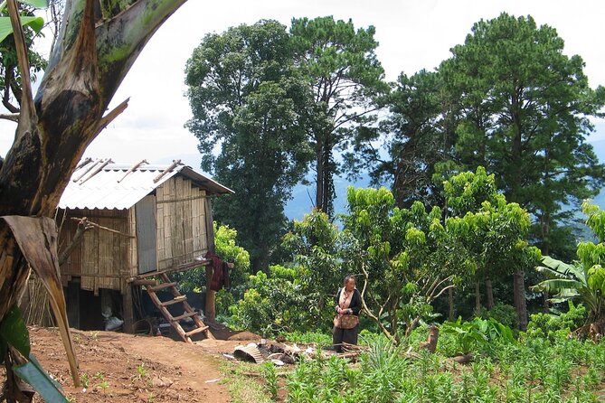 No.1 Chiang Mai: Advanced Downhill Mountain Biking, Suthep N.Park - Forest tracks, hill farms, and mountain culture