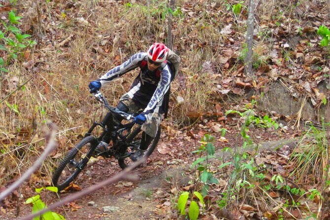 No.1 Chiang Mai: Advanced Downhill Mountain Biking, Suthep N.Park - Lake Huay Tueng Tao: lunch and a swim