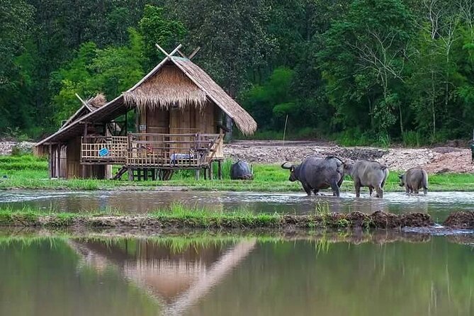 "No.1 Chiang Mai: Leisure Bicycle Ride to Lake Huay Tueng Tao" - Cycling back to Chiang Mai
