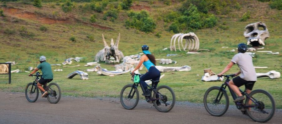 Oahu: Kualoa Electric Bike Tour - Six miles through Kualoa Ranch by e-bike