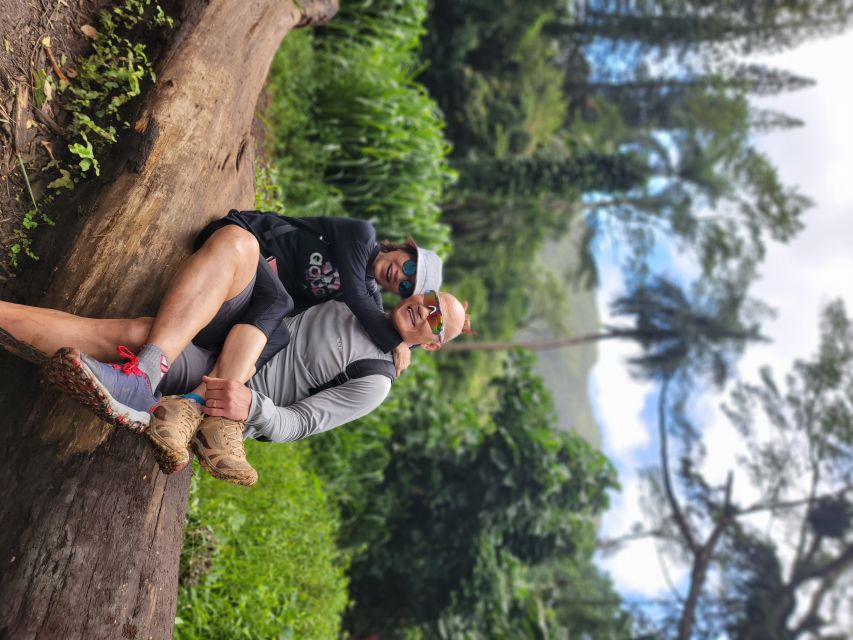 Oahu: Waikiki E-Bike Ride and Manoa Falls Hike - Reaching Manoa Valley and locking the bikes