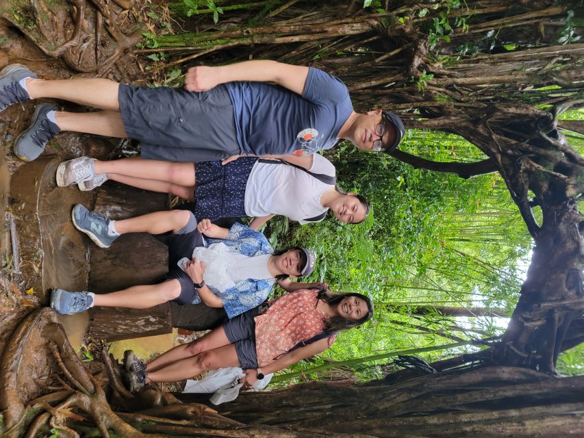 Oahu: Waikiki E-Bike Ride and Manoa Falls Hike - How to prepare for the four hours