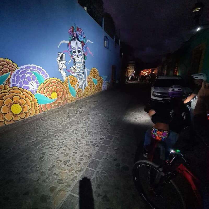 Oaxaca City: Bike Tour with Professional Guide+Art workshop - Safety, Equipment, and City Traffic