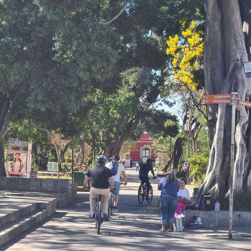 Oaxaca City: Bike Tour with Professional Guide+Art workshop - El Llano: A Green Pause in the City