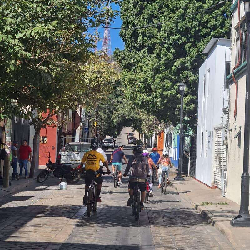 Oaxaca City: Bike Tour with Professional Guide+Art workshop - Basilica of Our Lady of Solitude: The Final Landmark