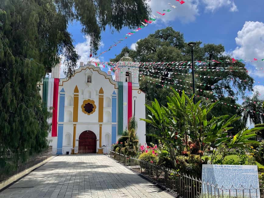 Oaxaca: Guided Bike Tour to the Largest Tree in the World - Santa María del Tule and the tree that defines the town